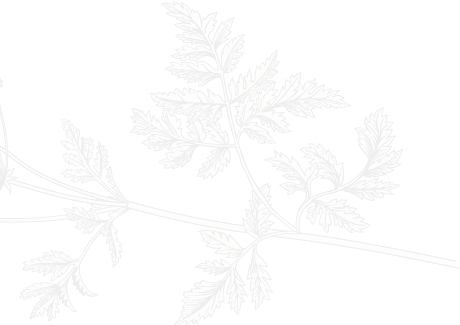 about-us-offset-img1